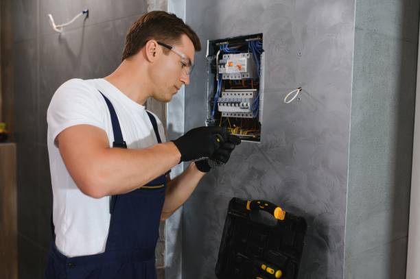 Best Home Electrical Repair  in Porcupine, SD